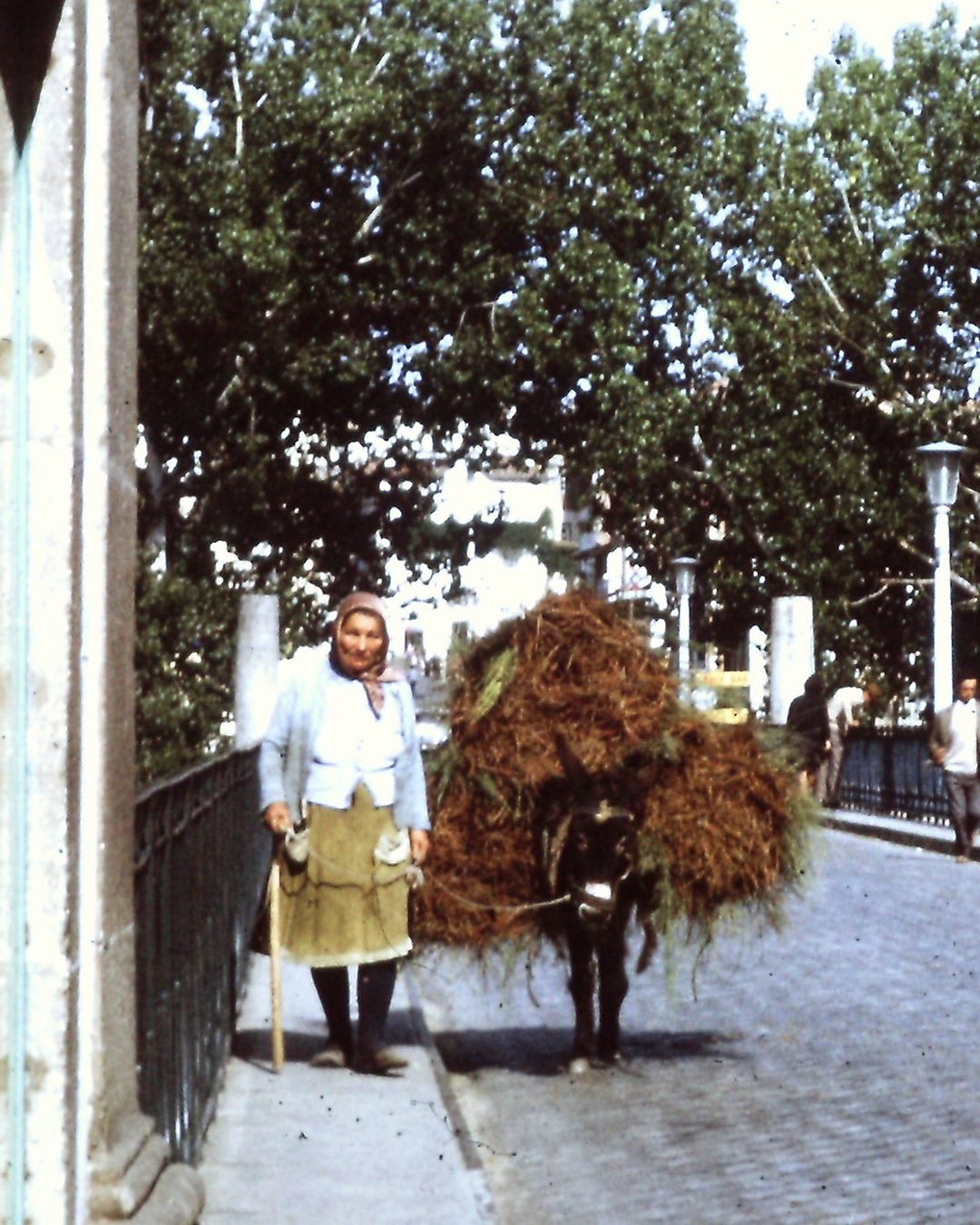 Uma mulher e um burro carregado de feno na ponte, em Chaves. Fotografia de Donald Judge, 1972 (CC BY 2.0).