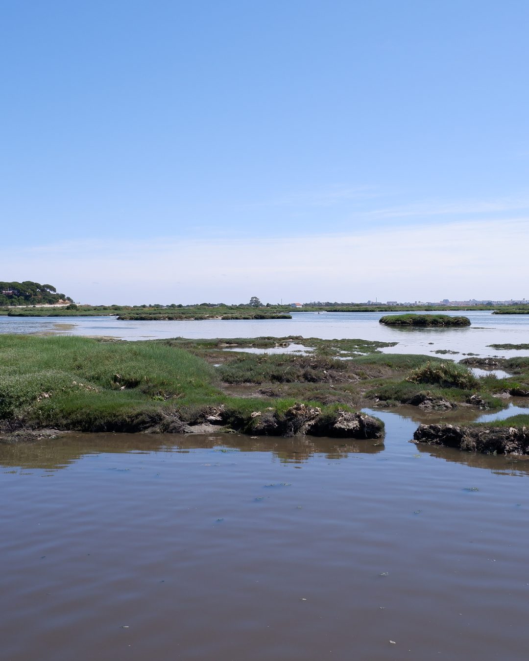 O sapal de Corroios na preia-mar, a terra que o Tejo cobre e onde se fizeram os moinhos. Fotografia de Jaimepereira48 (2023, CC BY-SA 4.0), Wikimedia Commons.