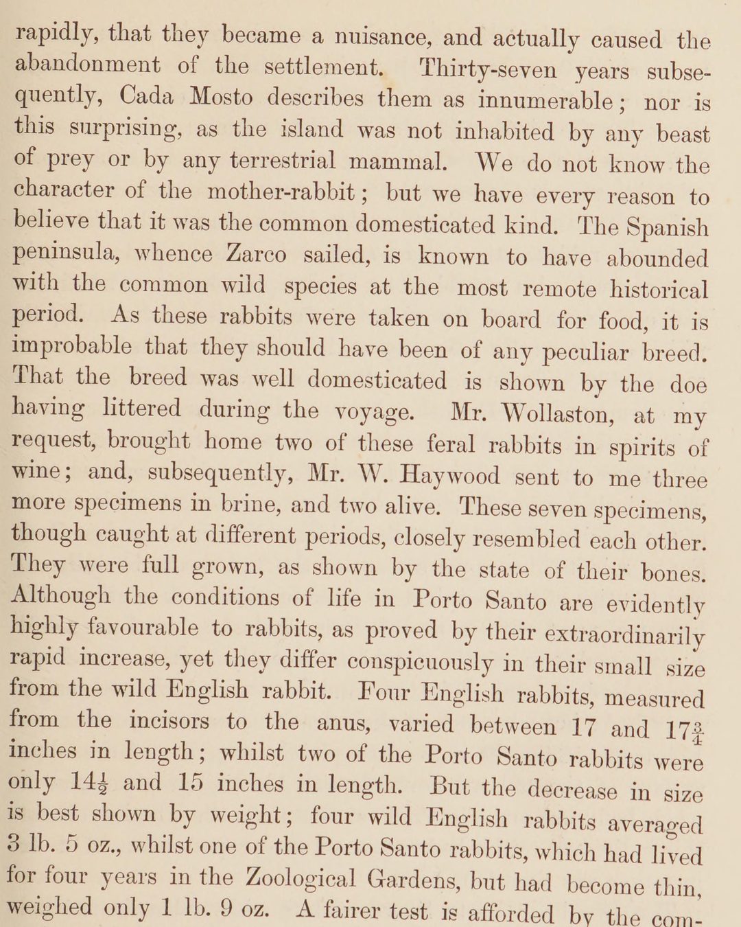 Página 113 do primeiro volume de The Variation of Animals and Plants under Domestication, de Charles Darwin (1868), onde escreve ter «every reason to believe» que a coelha era da raça doméstica comum (domínio público; digitalização da Wellcome Collection, via Internet Archive).