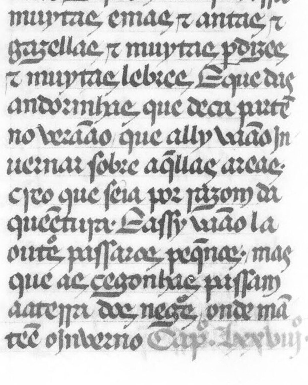O códice de Paris da Crónica da Guiné, fl. 128v: as andorinhas que partem no verão e vão «invernar sobre aquellas areas», e as cegonhas que passam à terra dos negros (Bibliothèque nationale de France, Portugais 41, domínio público).