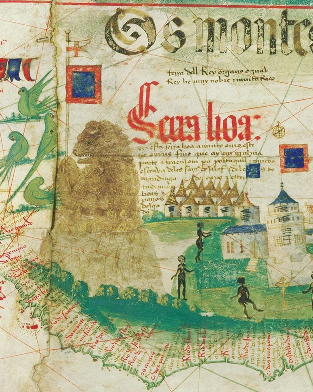 Pormenor do planisfério português de 1502, dito de Cantino: ao lado do nome «Serra lioa», em letras vermelhas, um leão de pé, de dentes à mostra, segura uma haste com a bandeira de Portugal (Biblioteca Estense Universitaria, Módena; Wikimedia Commons, domínio público).